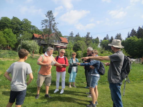 2018 Wackernheim Golf Ballon